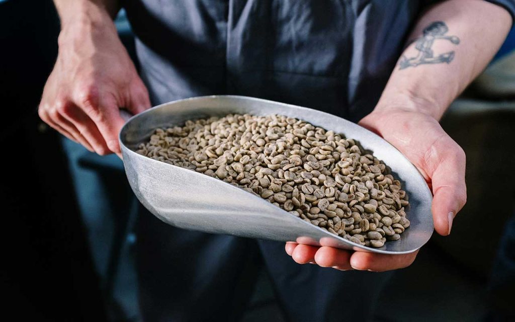 عربیکا یا روبوستا؟ کدام قهوه مناسب‌تر است؟